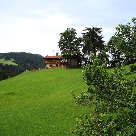 Schoner Erika Villa Oberau Oda fotoğraf