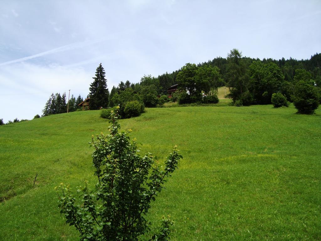 Schoner Erika Villa Oberau Oda fotoğraf